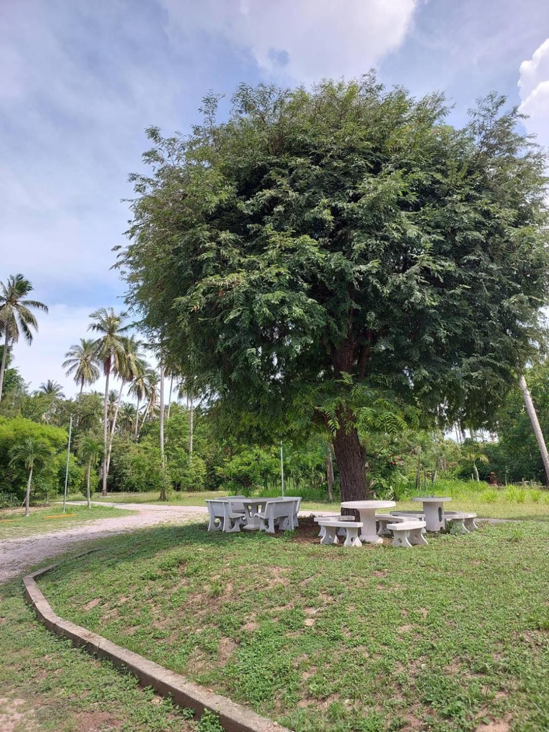 Sisina Resort Prachuap Khiri Khan Eksteriør billede